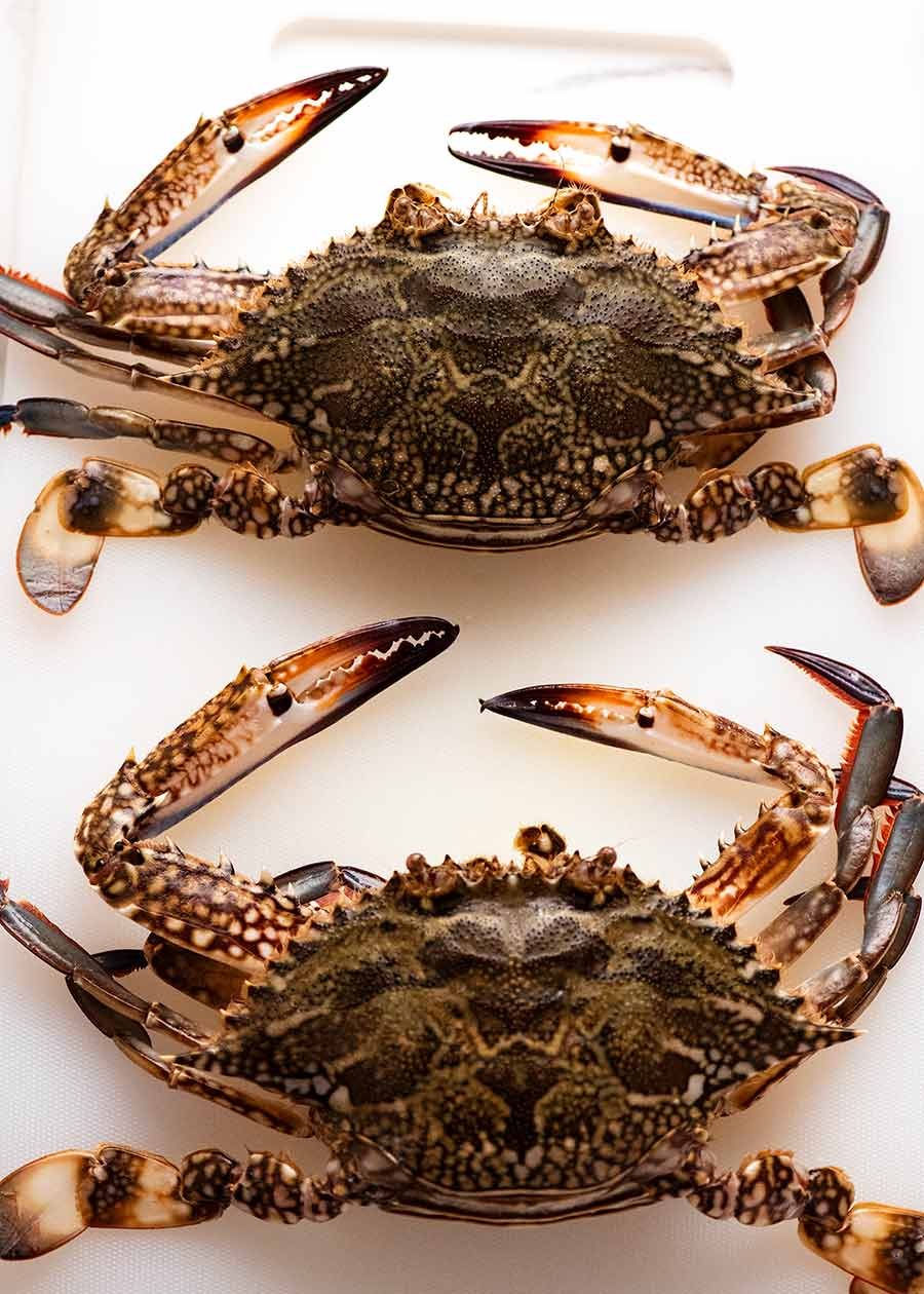 Raw blue swimmer crab