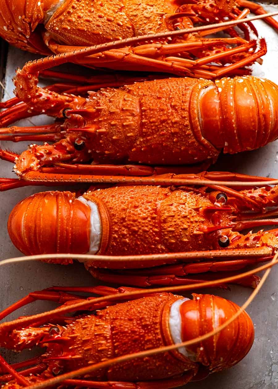 Cooked lobsters