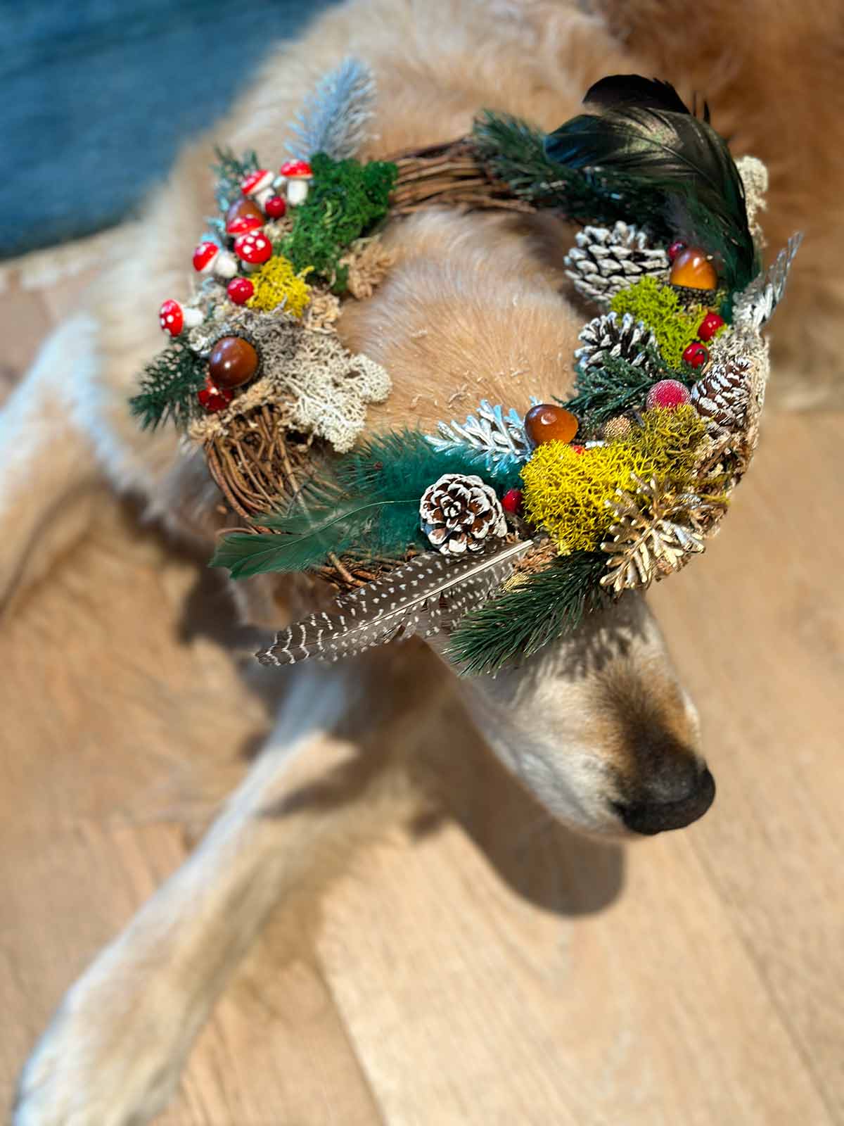 Dozer wreath on head