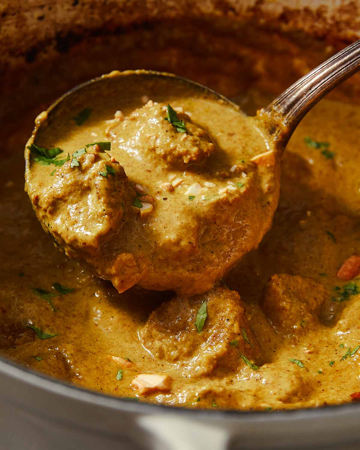 Lamb Korma Curry in a pot