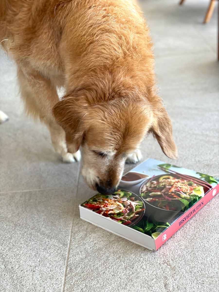 Dozer sniffing RecipeTin Eats cookbook mock up