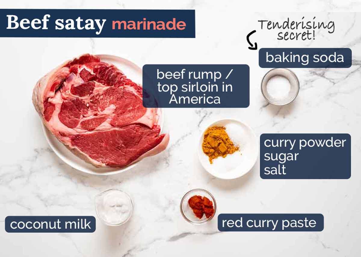 Thai Beef Satay marinade ingredients