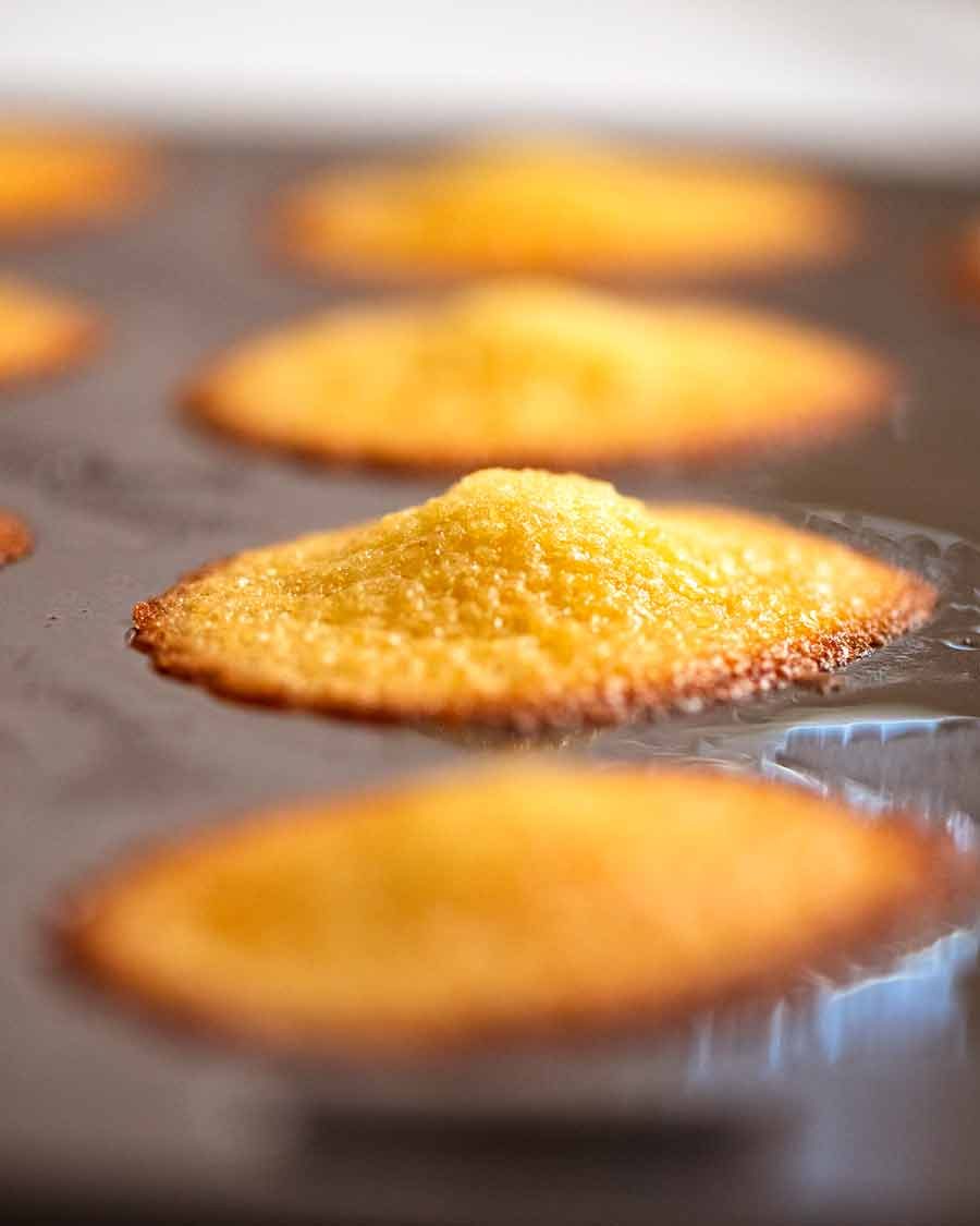 Freshly baked Madeleines