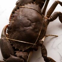 Live whole Mud Crab recipe