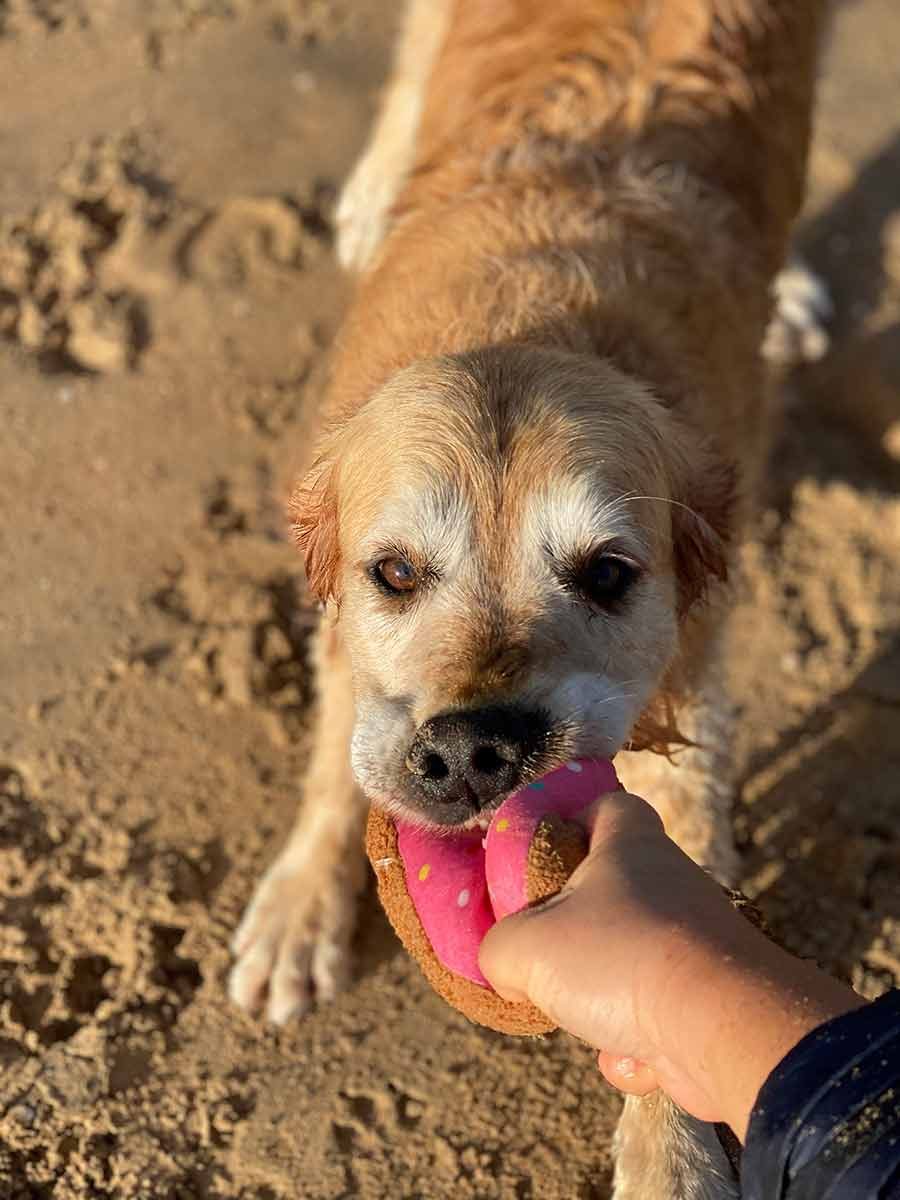 Dozer doughnut tug of war