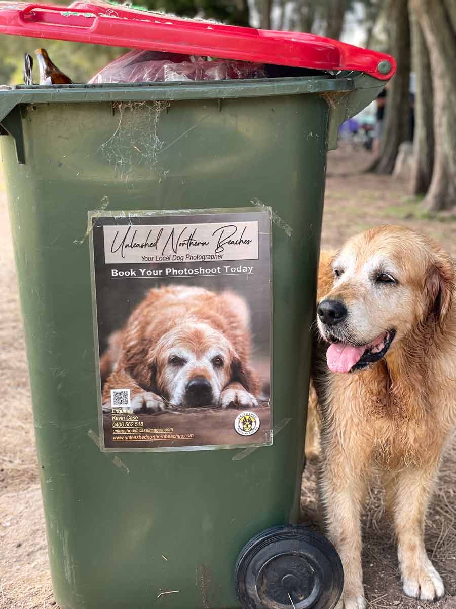 Post of Dozer on dog poo garbage bin