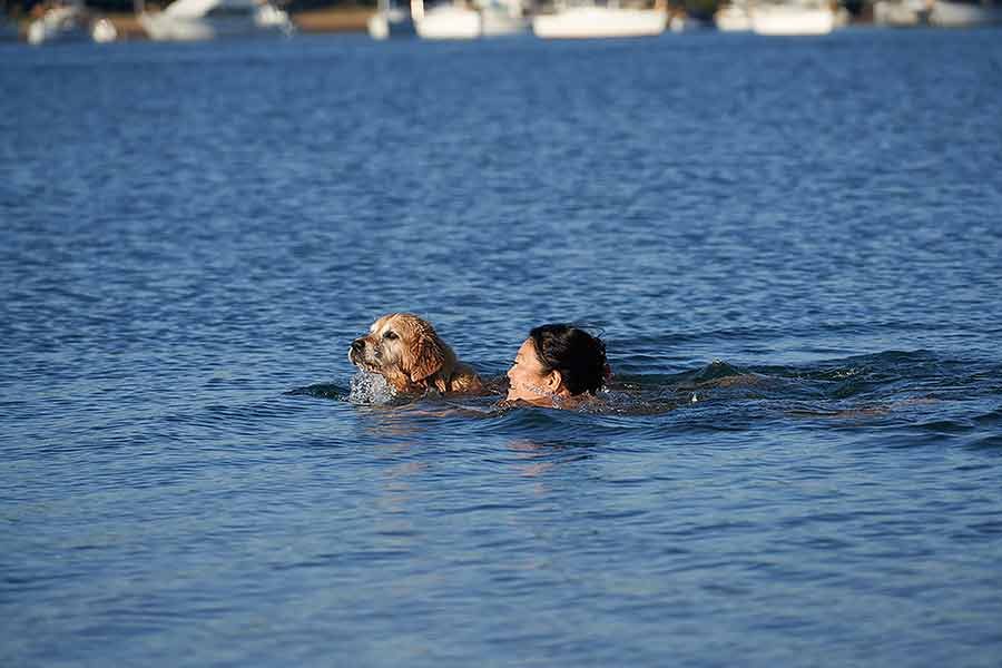 Nagi Dozer swimming Bayview