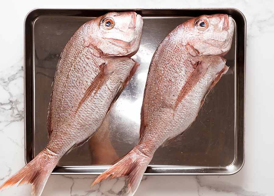 Raw snapper on tray ready to be baked