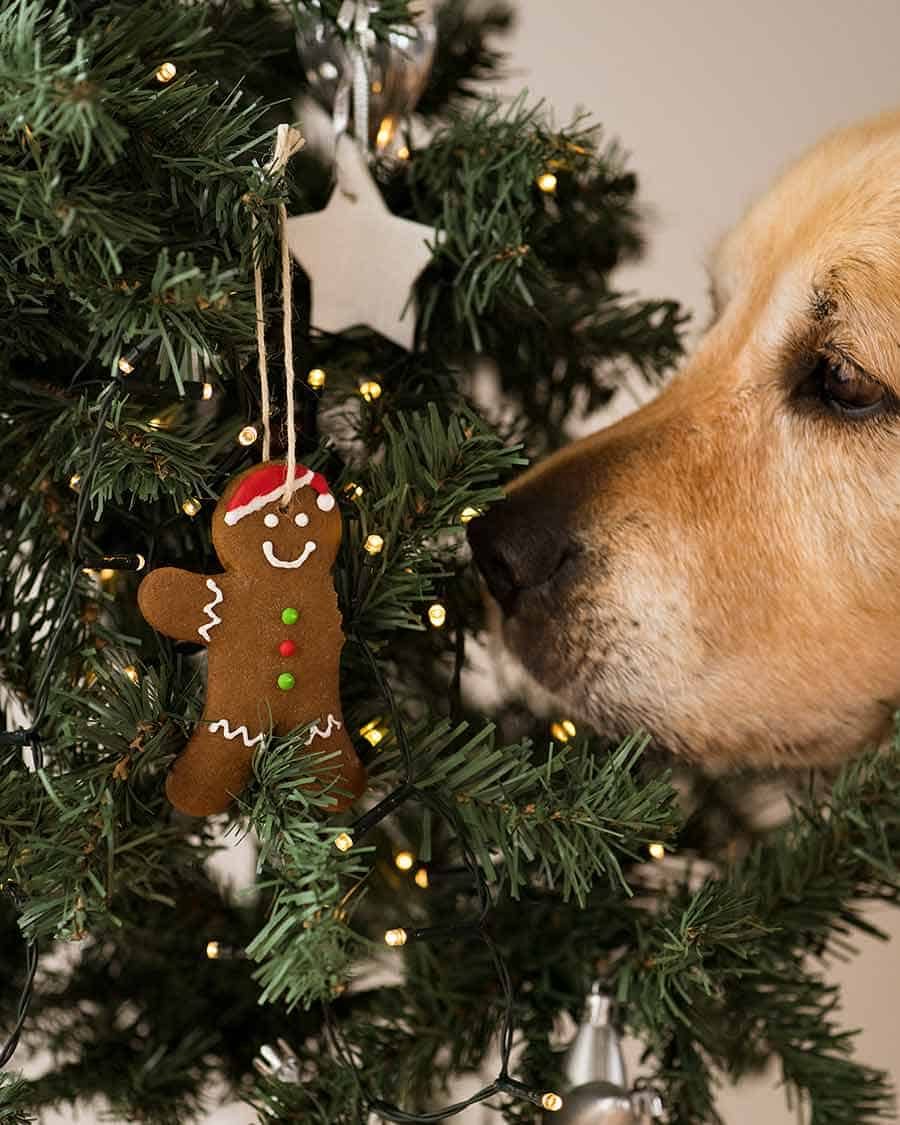 dozer-gingerbread-man-christmas-tree-ornament Dozer gingerbread man Christmas tree ornament