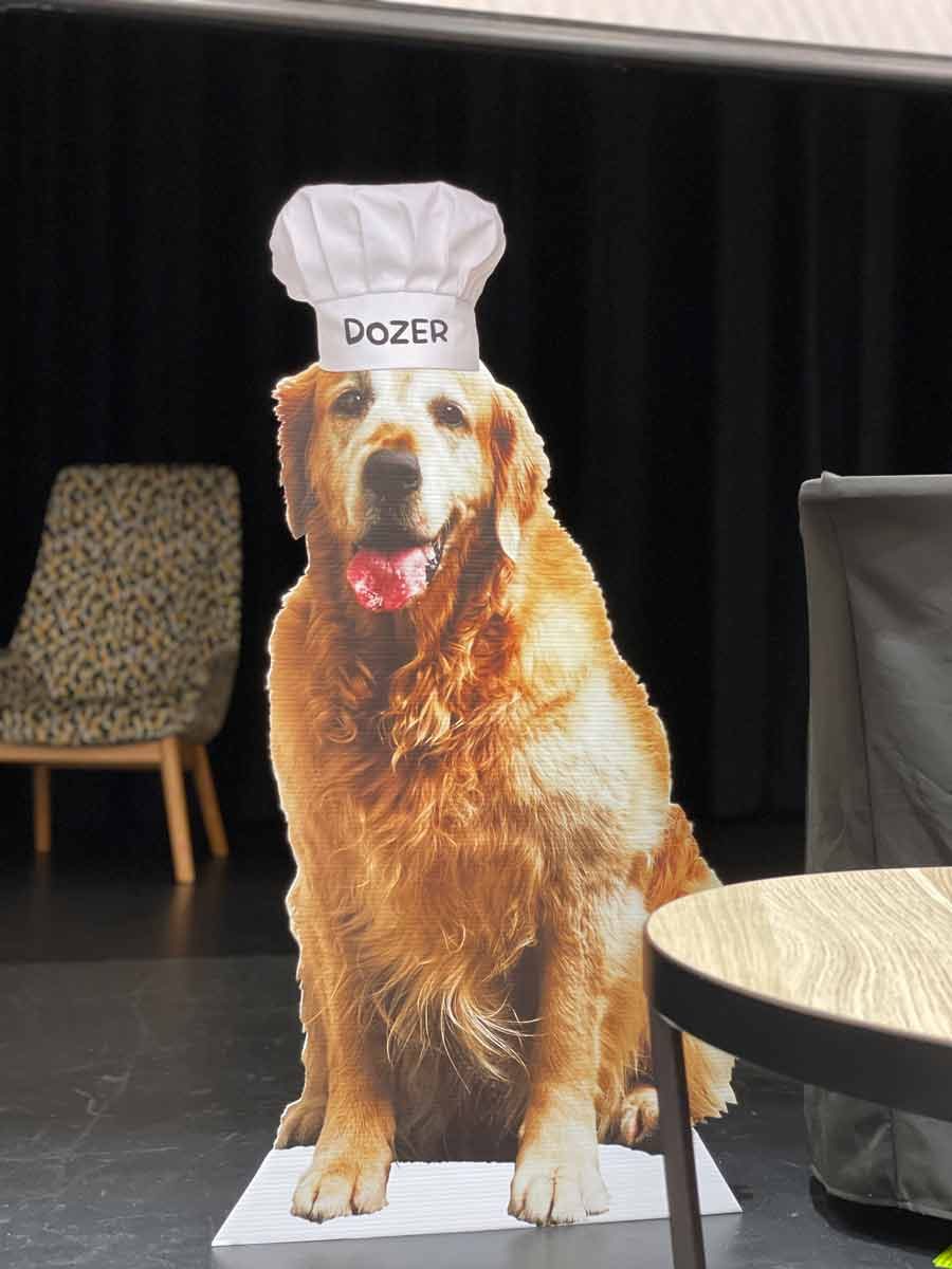 dozer-cardboard-cut-out-gold-coast-library-event-1