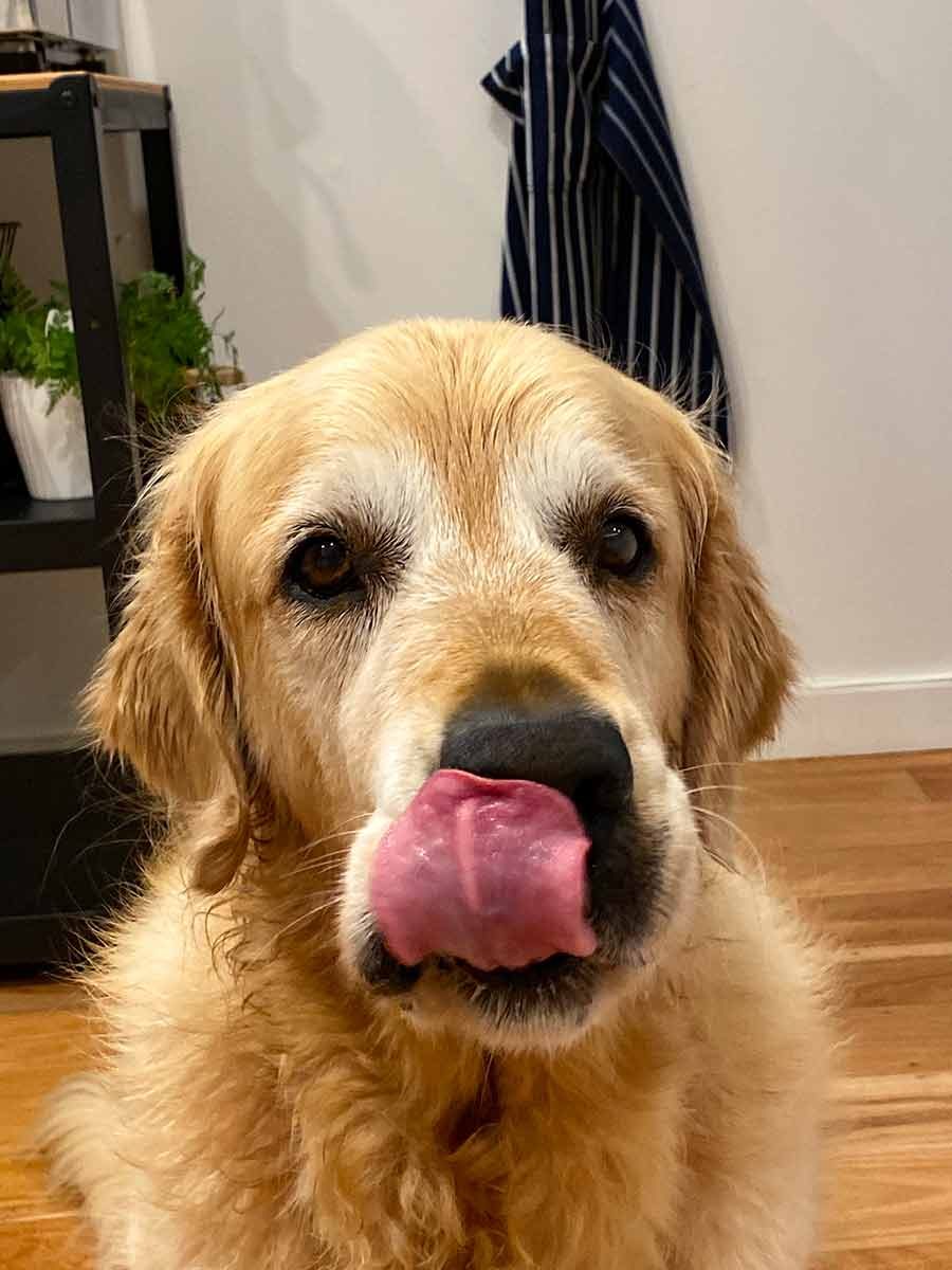 dozer-food-chest-hair-licking-lips Dozer food catching chest hair