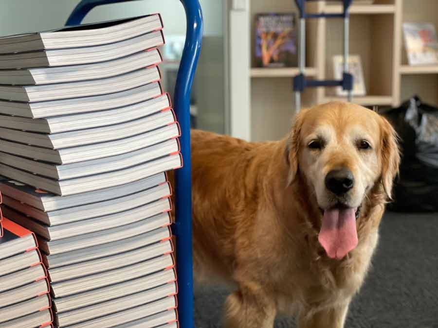 dozer-gertrude-alice-book-signing-pan-mac-2
