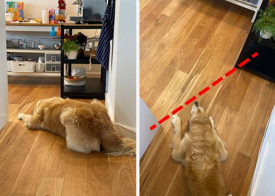 dozer-kitchen-barrier-breach Dozer kitchen barrier breach