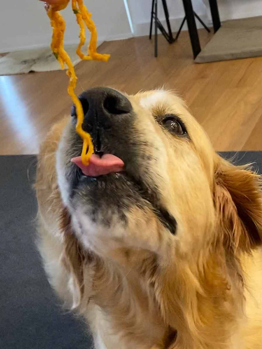 dozer-thai-peanut-noodles