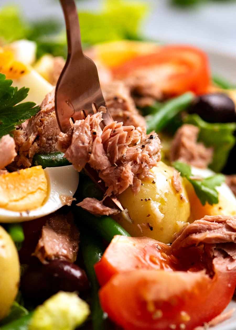 salade-nicoise-v2_6 Fork close up eating Salad Nicoise - French Tuna Salad