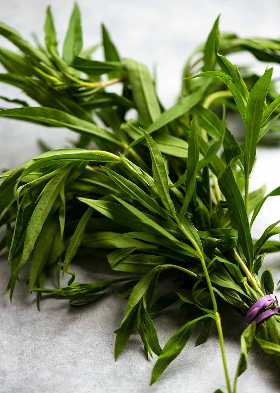tarragon Tarragon
