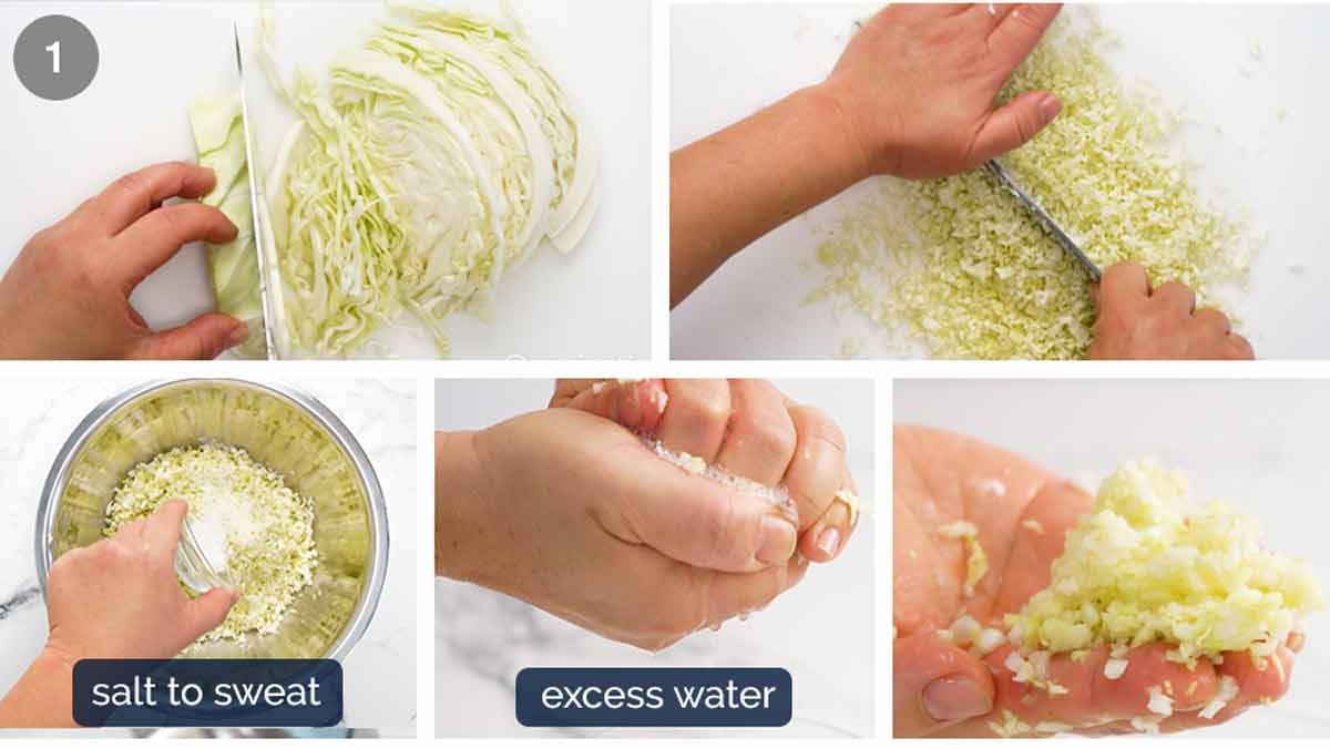 1-how-to-make-vegetable-dumpling-filling-cabbage How to make Vegetable Dumplings (Potstickers)