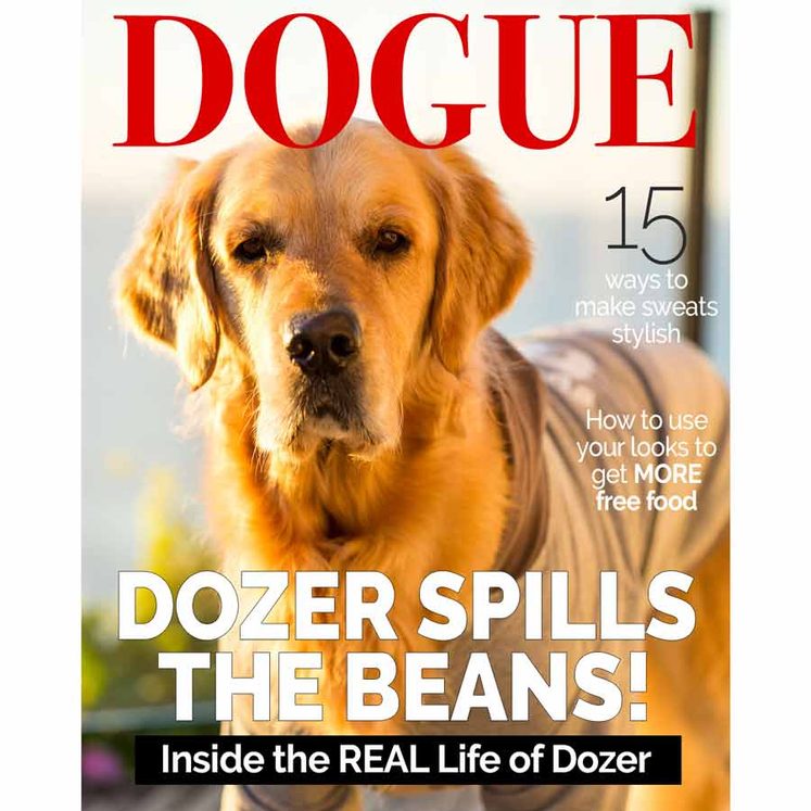 Interview: Life of Dozer 2020 post thumbnail image
