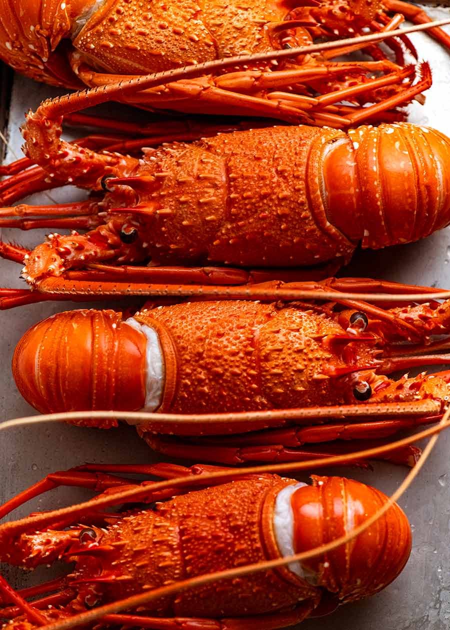 cooked-lobsters Cooked lobsters