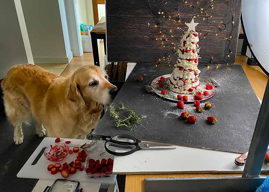 dozer-christmas-tree-pavlova_2 Dozer Pavlova Christmas Tree Dessert