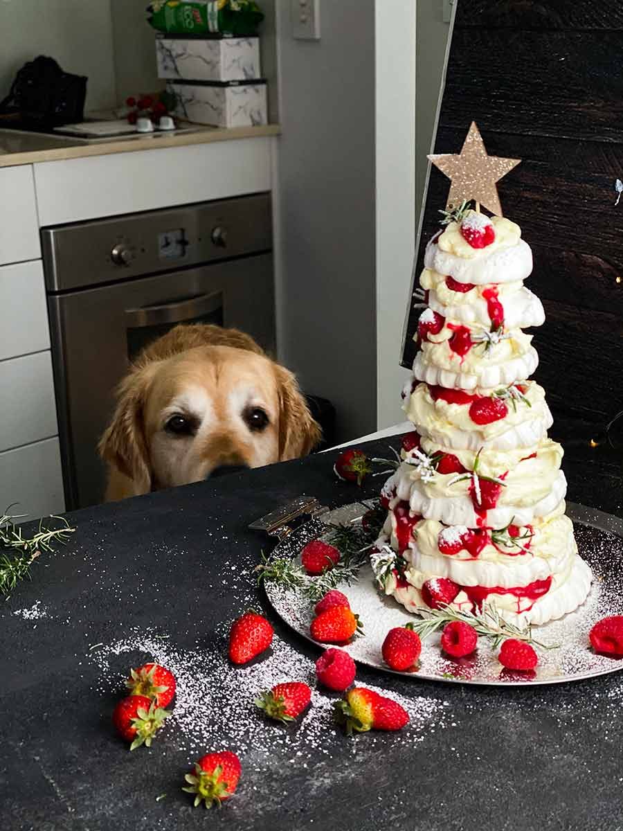 dozer-christmas-tree-pavlova_3 Dozer Pavlova Christmas Tree Dessert