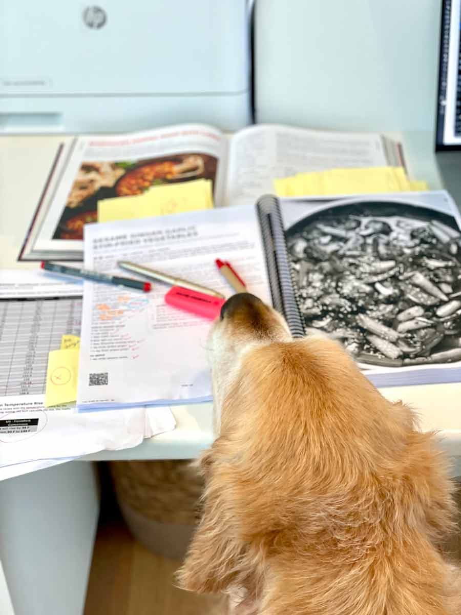 dozer-helping-with-americanisation-of-cookbook-2 Dozer helping with Americanisation of the RecipeTin Eats cookbook "Dinner" by Nagi Maehashi