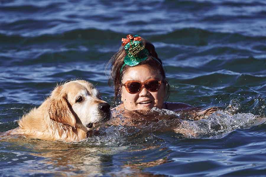dozer-nagi-bayview-christmas-2020_unleasehed-northern-beachs_3 Dozer and Nagi Bayview Christmas 2020