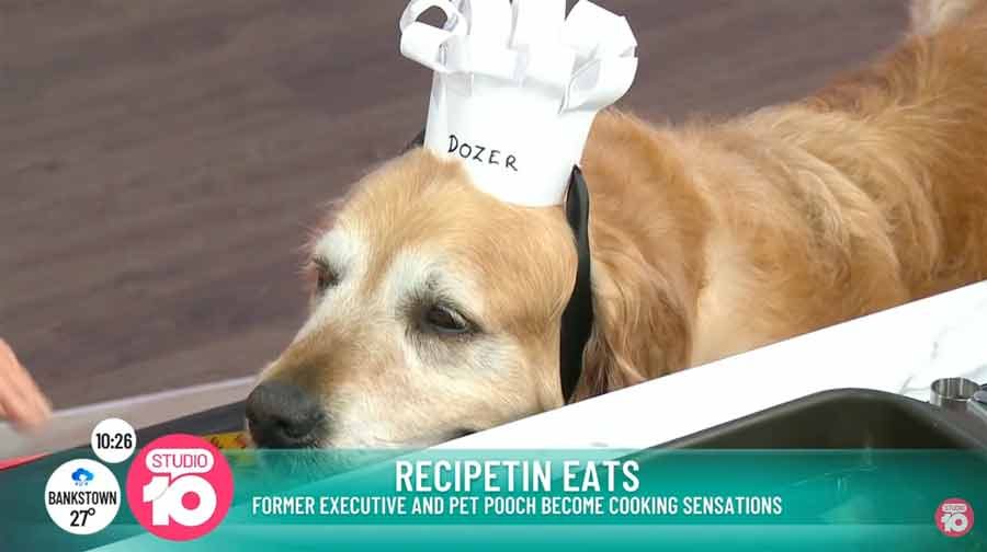 dozer-on-channel-10-studio-10 Nagi and Dozer on Studio 10 Channel 10 cookbook publicity tour