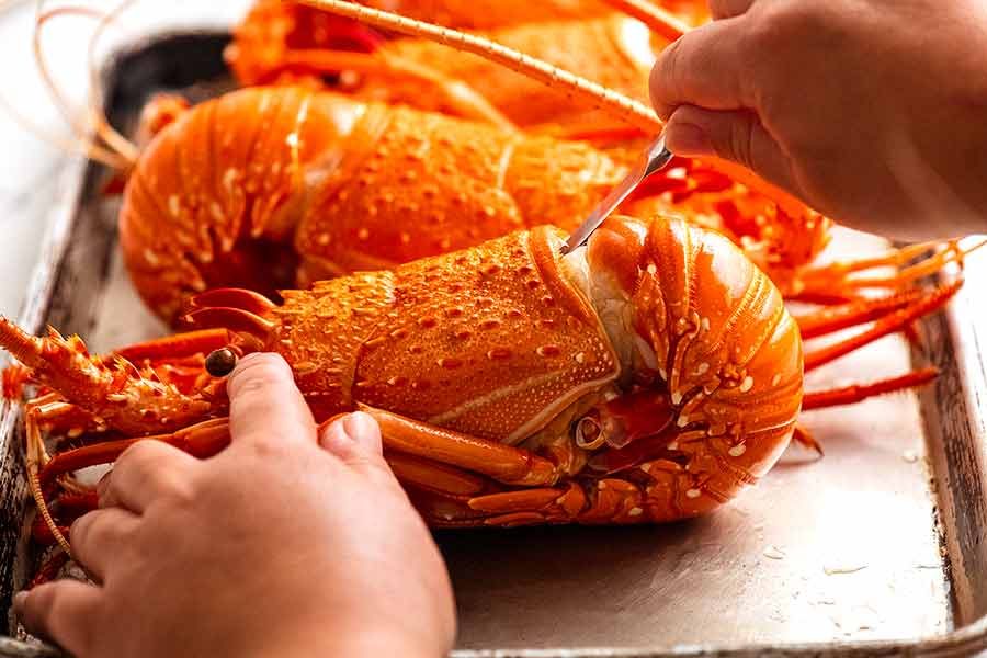 how-to-remove-lobster-meat_4 How to remove shell from lobster