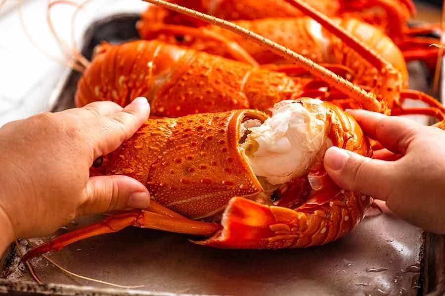 how-to-remove-lobster-meat_5 How to remove shell from lobster
