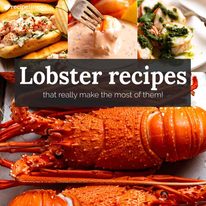 lobster-recipes-square-image Lobster recipes - using cooked lobster or crayfish