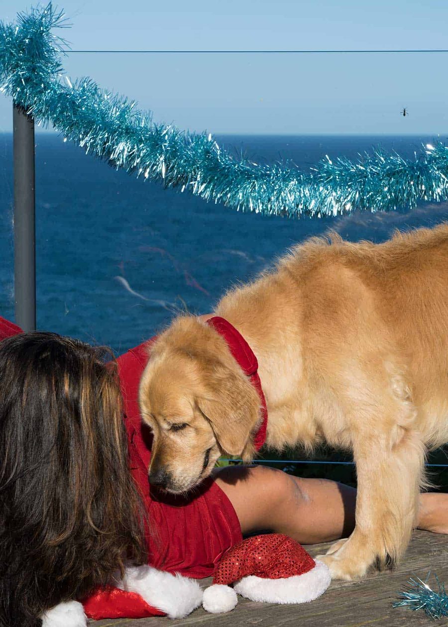 nagi-dozer-christmas-2018-selfie_8 Nagi and Dozer the golden retriever dog_Christmas 2018 bloopers