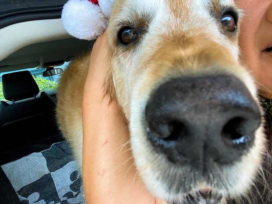 nagi-dozer-christmas-selfie-2020_6 Nagi Dozer Christmas 2020 Selfie