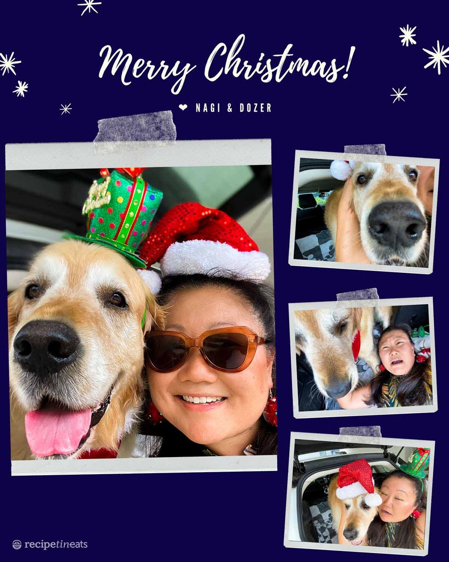 nagi-dozer-christmas-selfie-cover-photo-collage Nagi Dozer Christmas 2020 Selfie