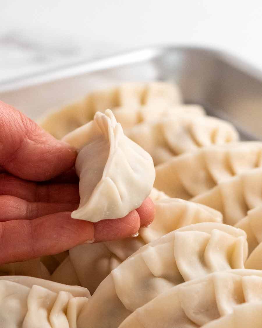 vegetable-dumplings-1_3 Hand holding uncooked Vegetable Dumplings (Potstickers)