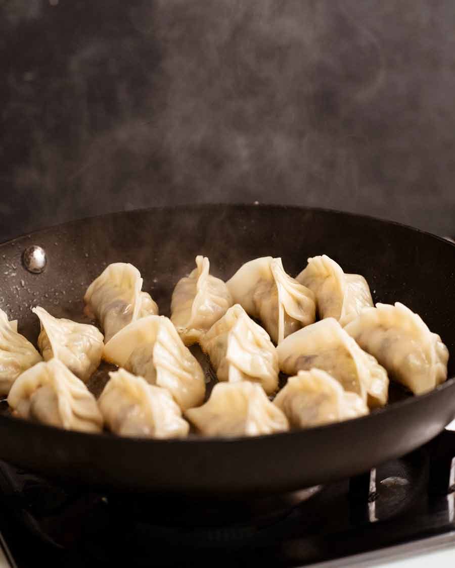 vegetable-dumplings-1_5 Cooked Vegetable Dumplings (Potstickers)
