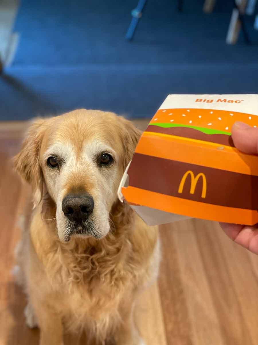 dozer-mcdonalds-burger