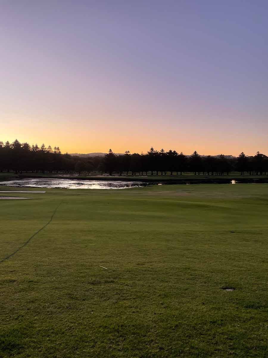 dozer-mona-vale-golf-course-3