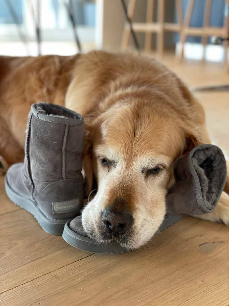 dozer-nagi-ugg-boots