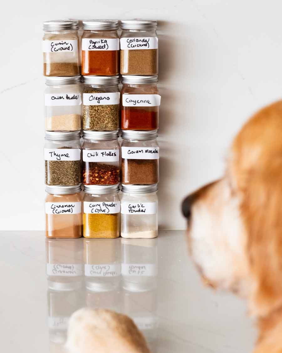 dozer-photo-bombing-spices_9 Dozer photo bombing spics photo