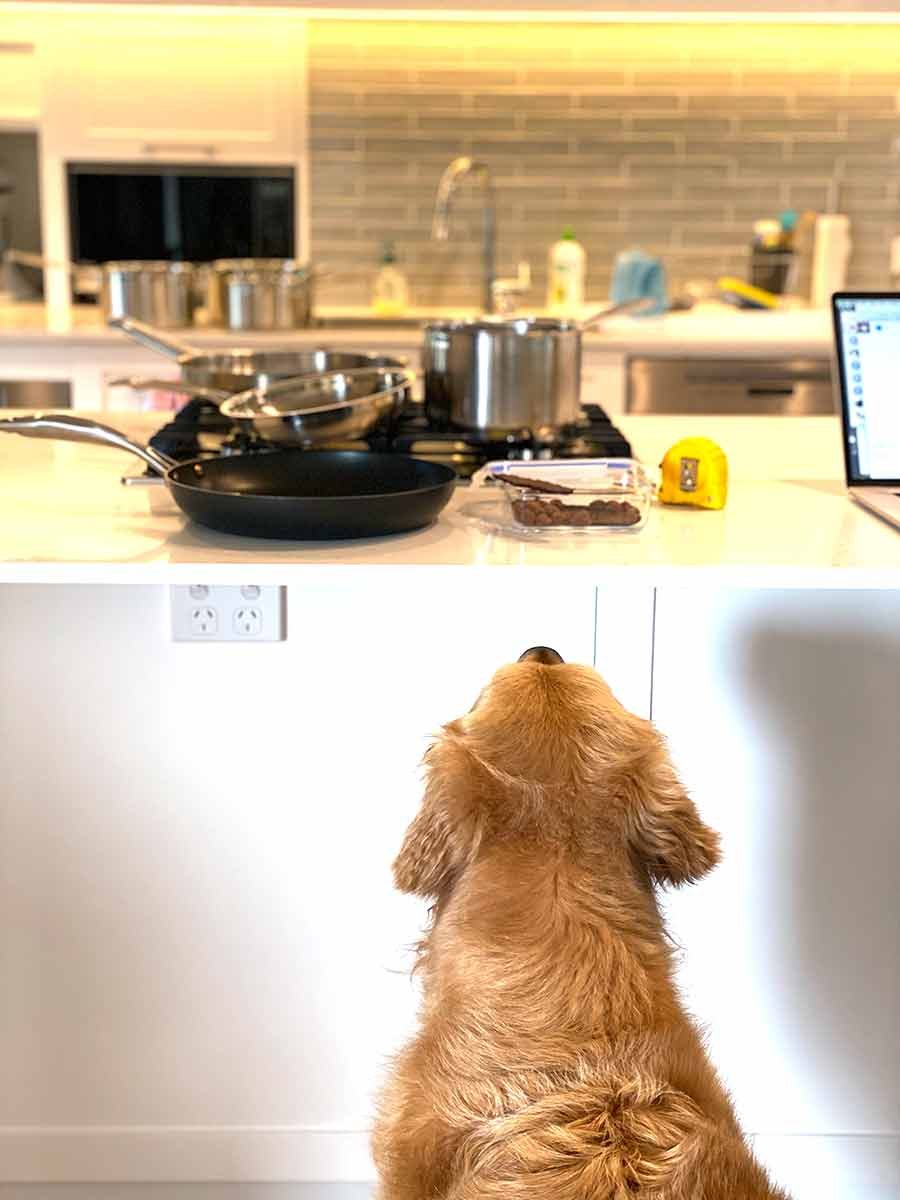 dozer-pots-and-pans