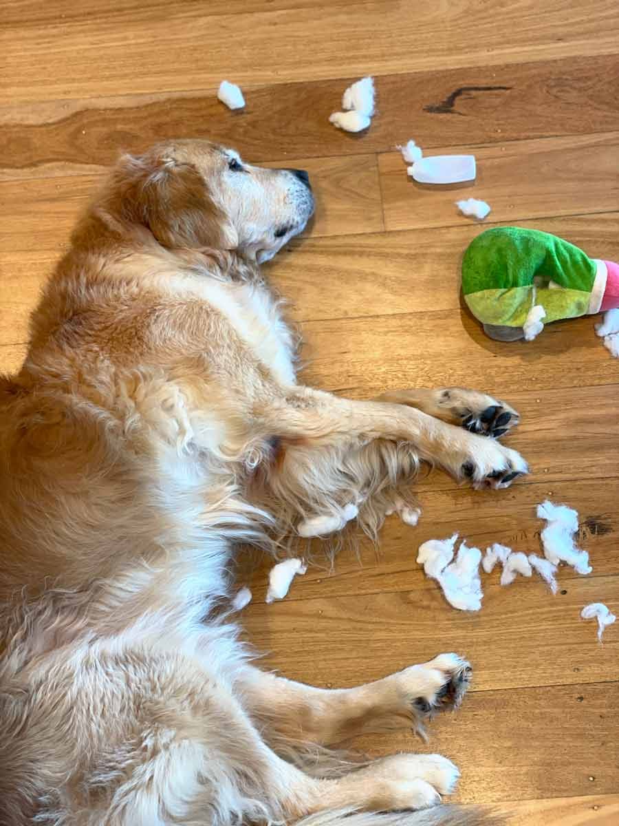 dozer-shredded-toy-1