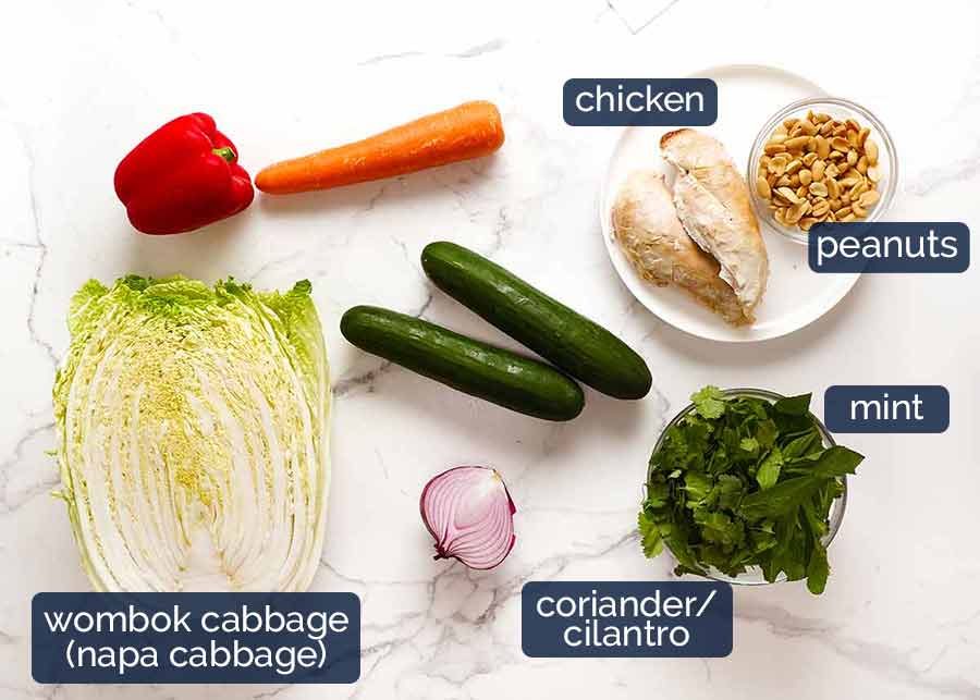 vietnamese-chicken-salad-ingredients Ingredients in Vietnamese Chicken Salad