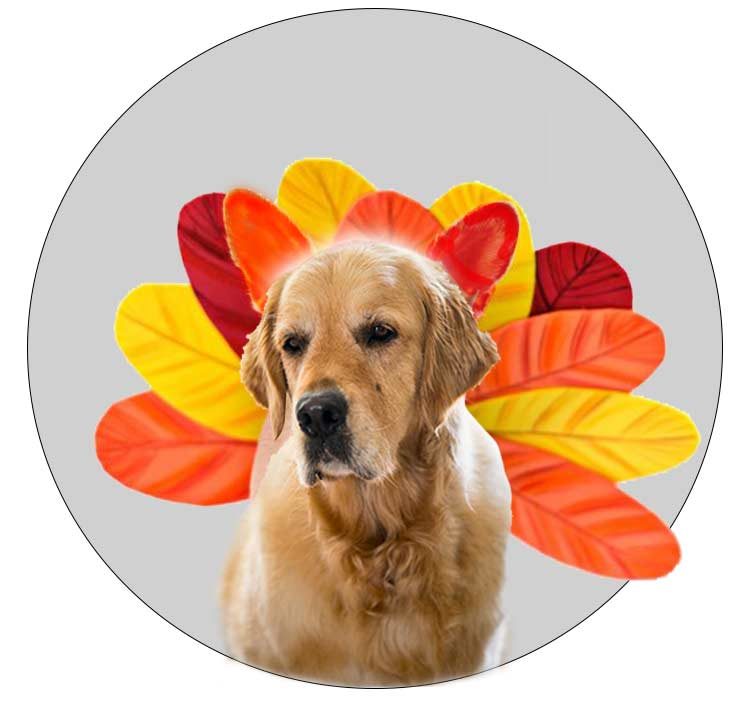 dozer-as-turkey