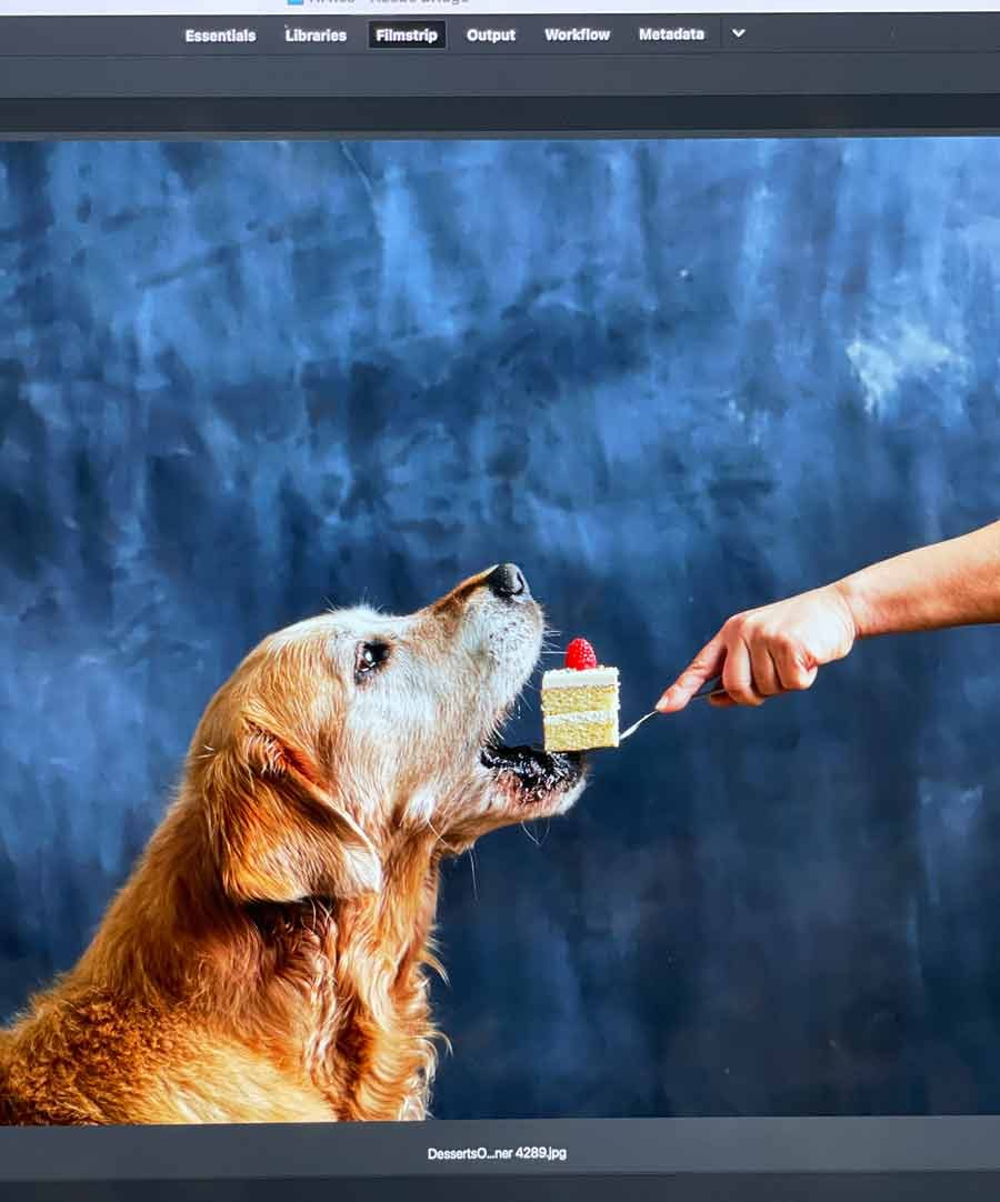 dozer-cake-dps-photo