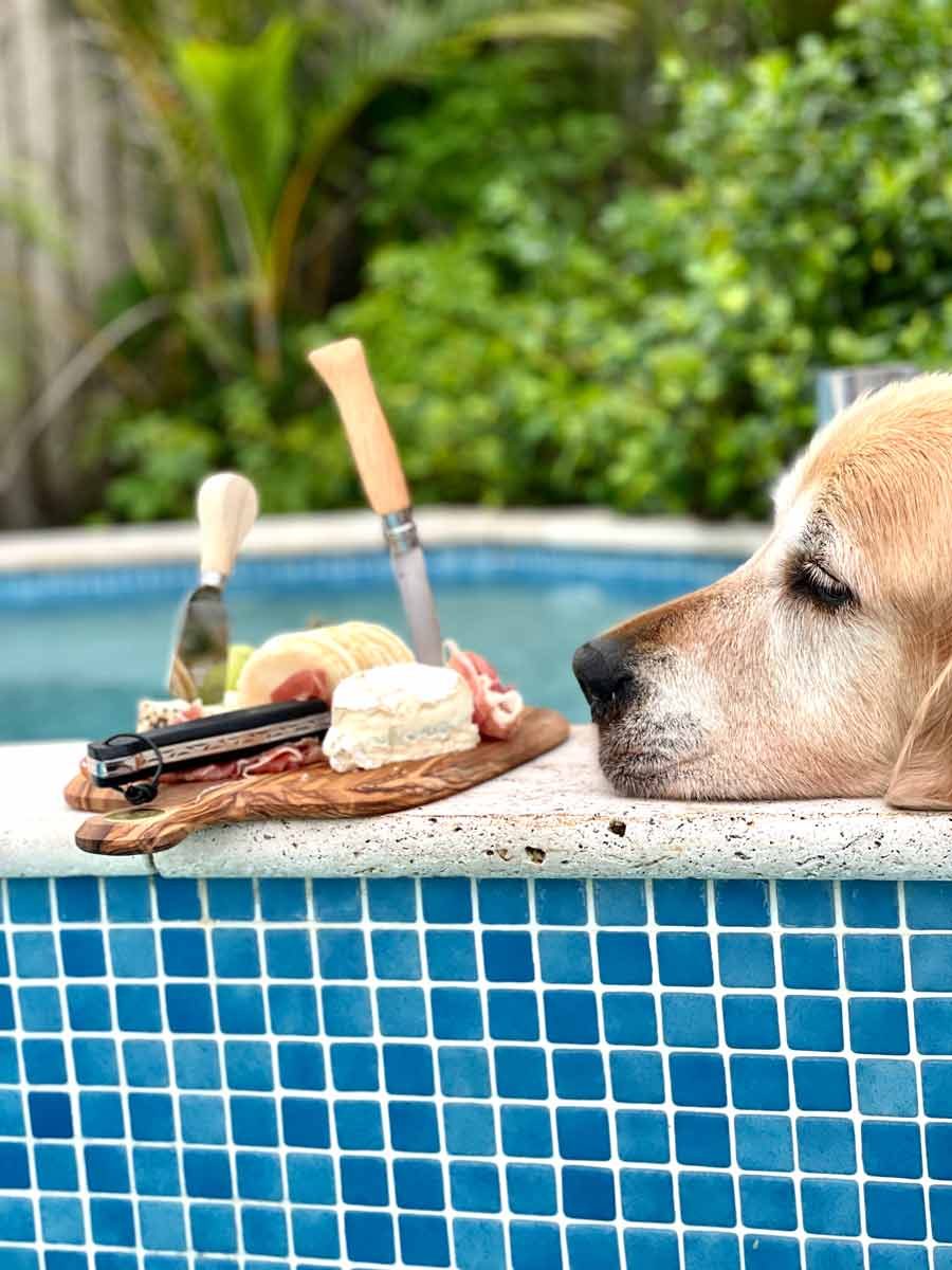 dozer-cheese-platter-spa