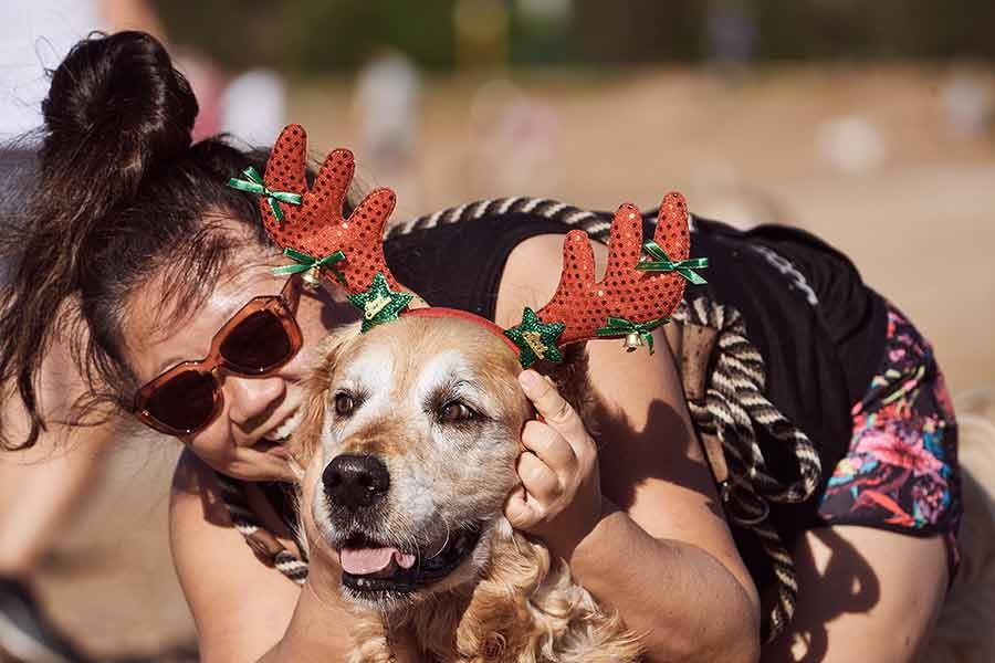 dozer-nagi-bayview-christmas-2020_unleasehed-northern-beachs_1 Dozer Nagi Bayview Christmas 2020 Unleashed Pittwater