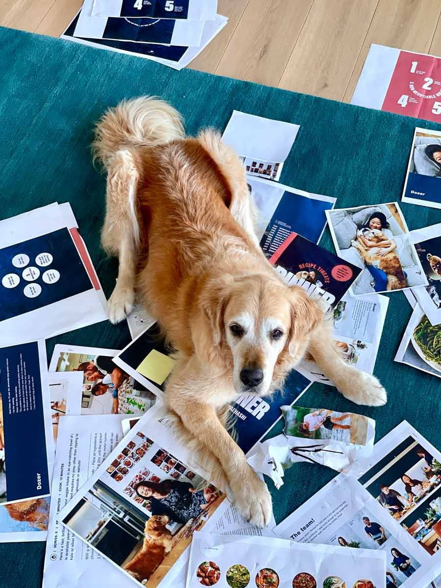 dozer-playing-on-cookbook-proofs