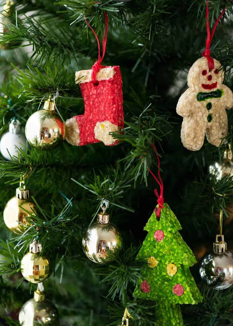 dozer-treats-on-christmas-tree