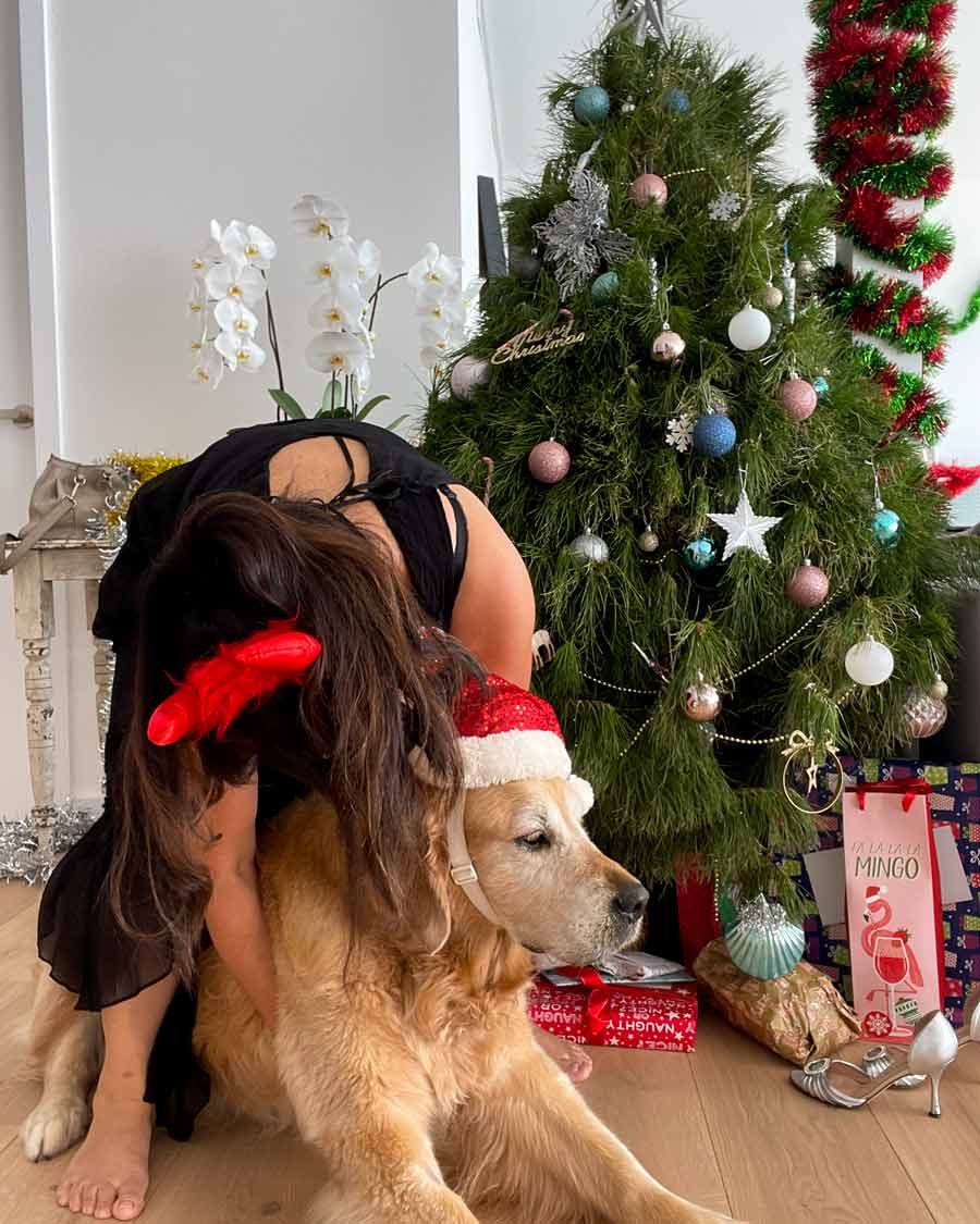 nagi-dozer-christmas-2021-11